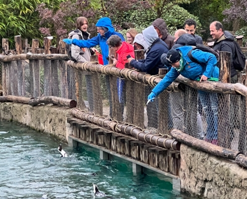 Teambuilding in Zoom Erlebniswelt
